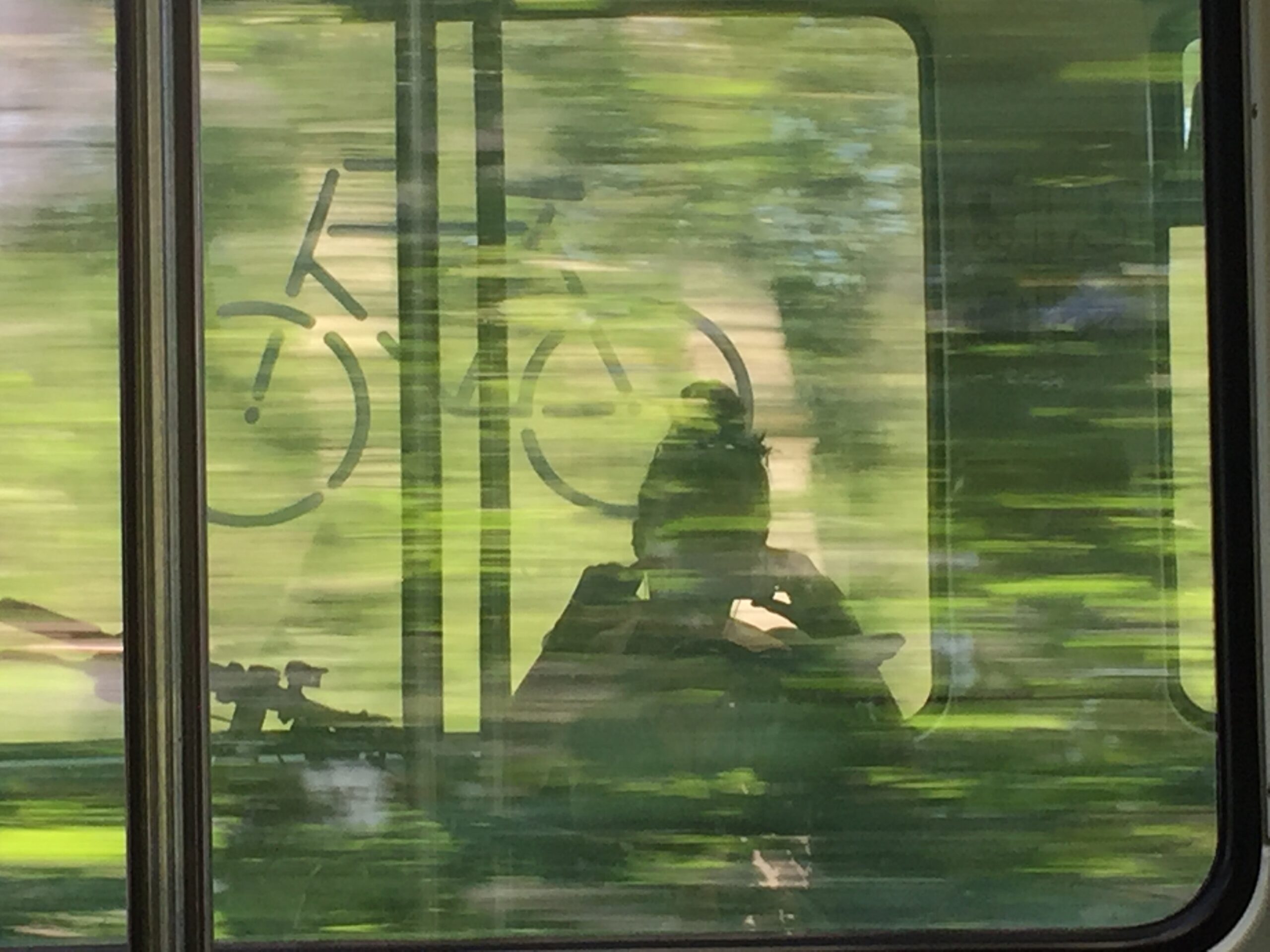 Frau sitzt in S-Bahn in der Fahrradabteilung. In den Fenstern spiegeln sich viel Grün..