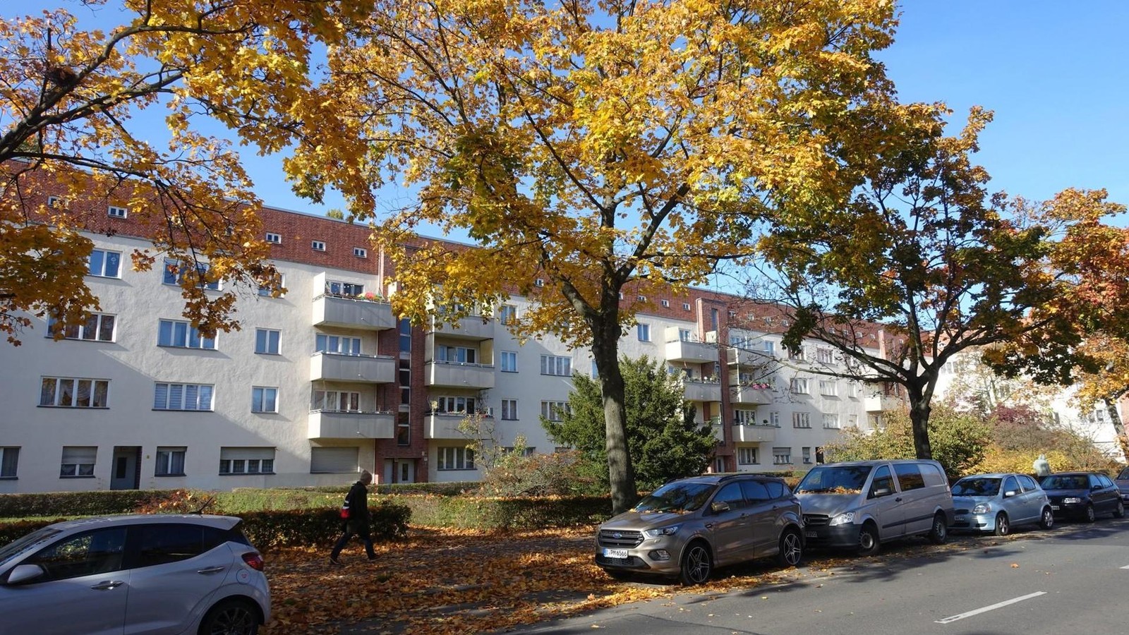 Herbstliche Wohnstraße mit geparkten Autos und großen Bäumen vor einem Mehrfamilienhaus
